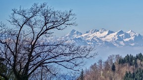 Berner Alpen 0